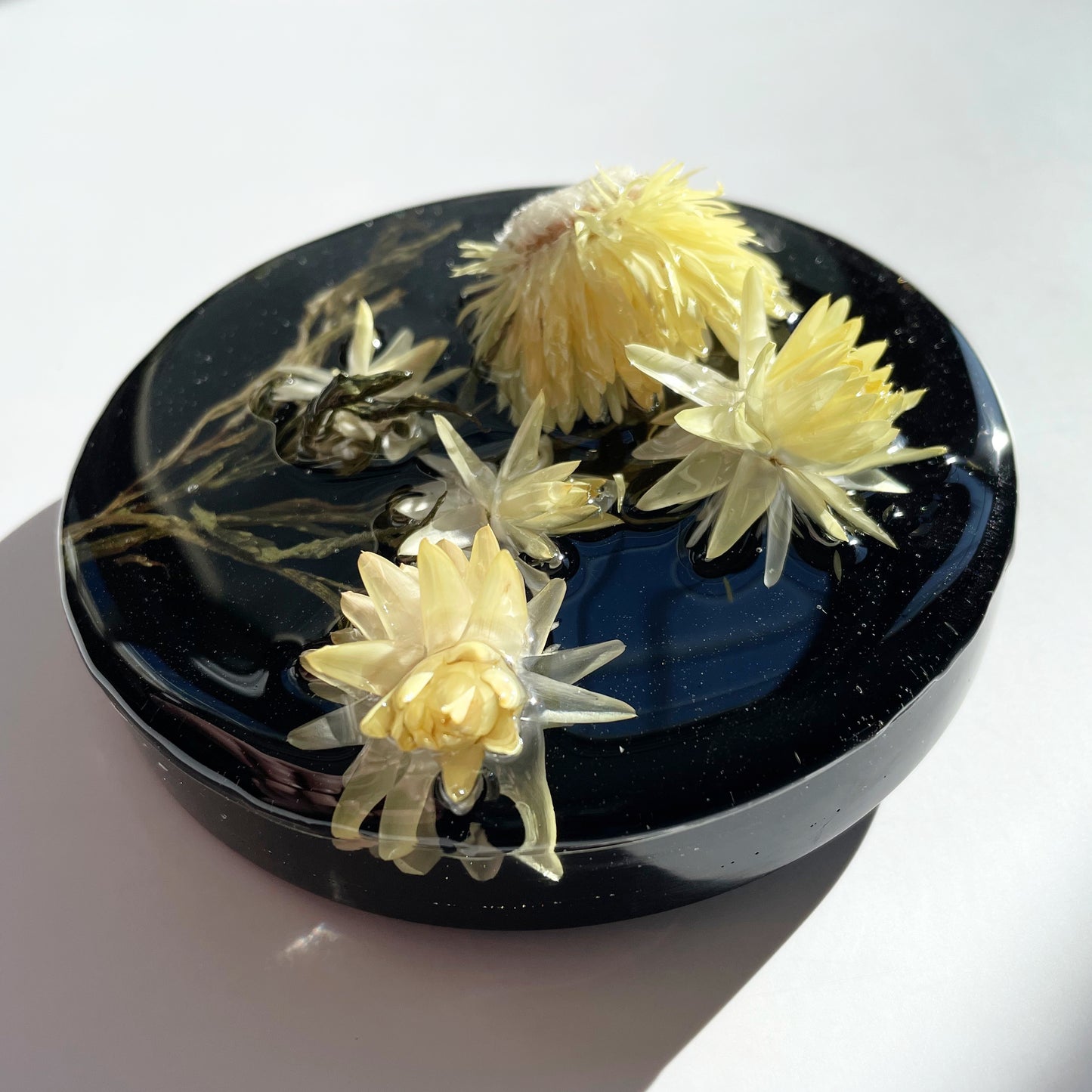 Strawflowers, Yellow, Black.