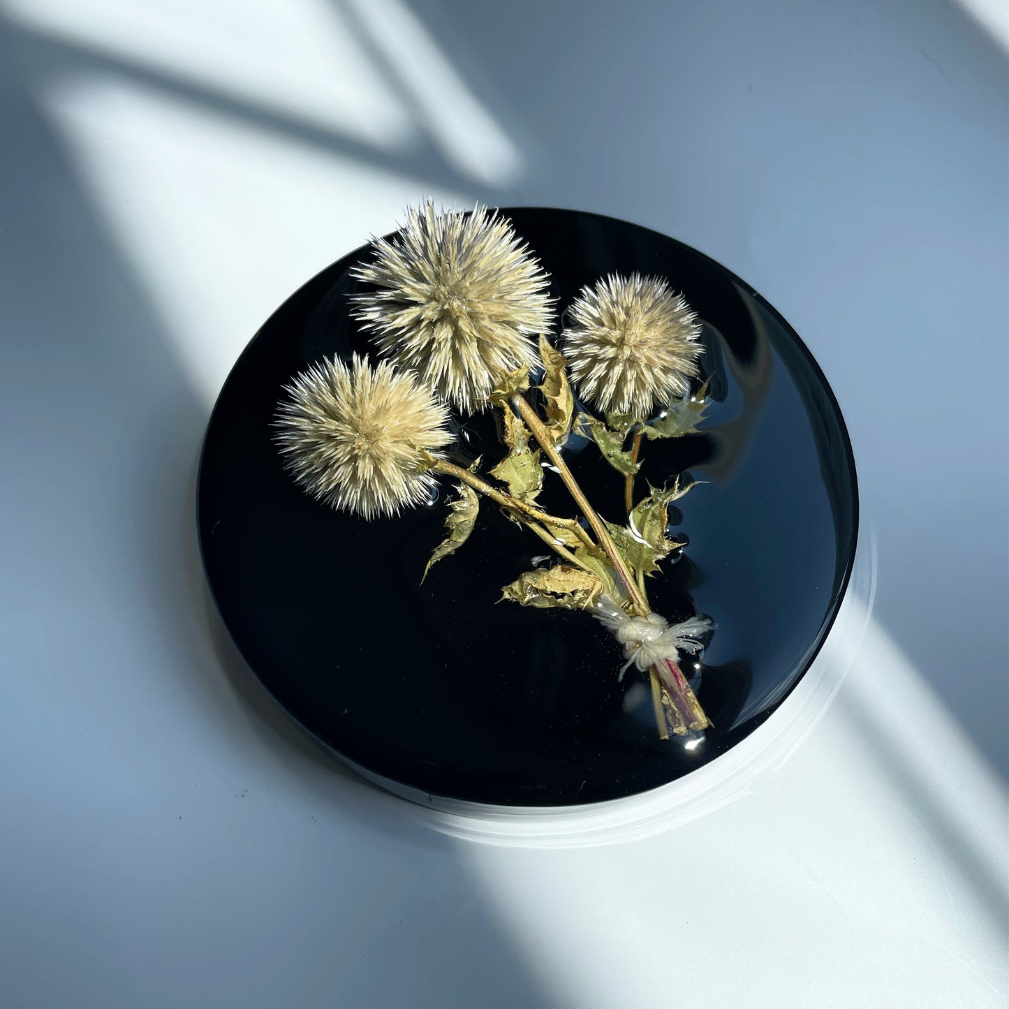 Thistle, Black