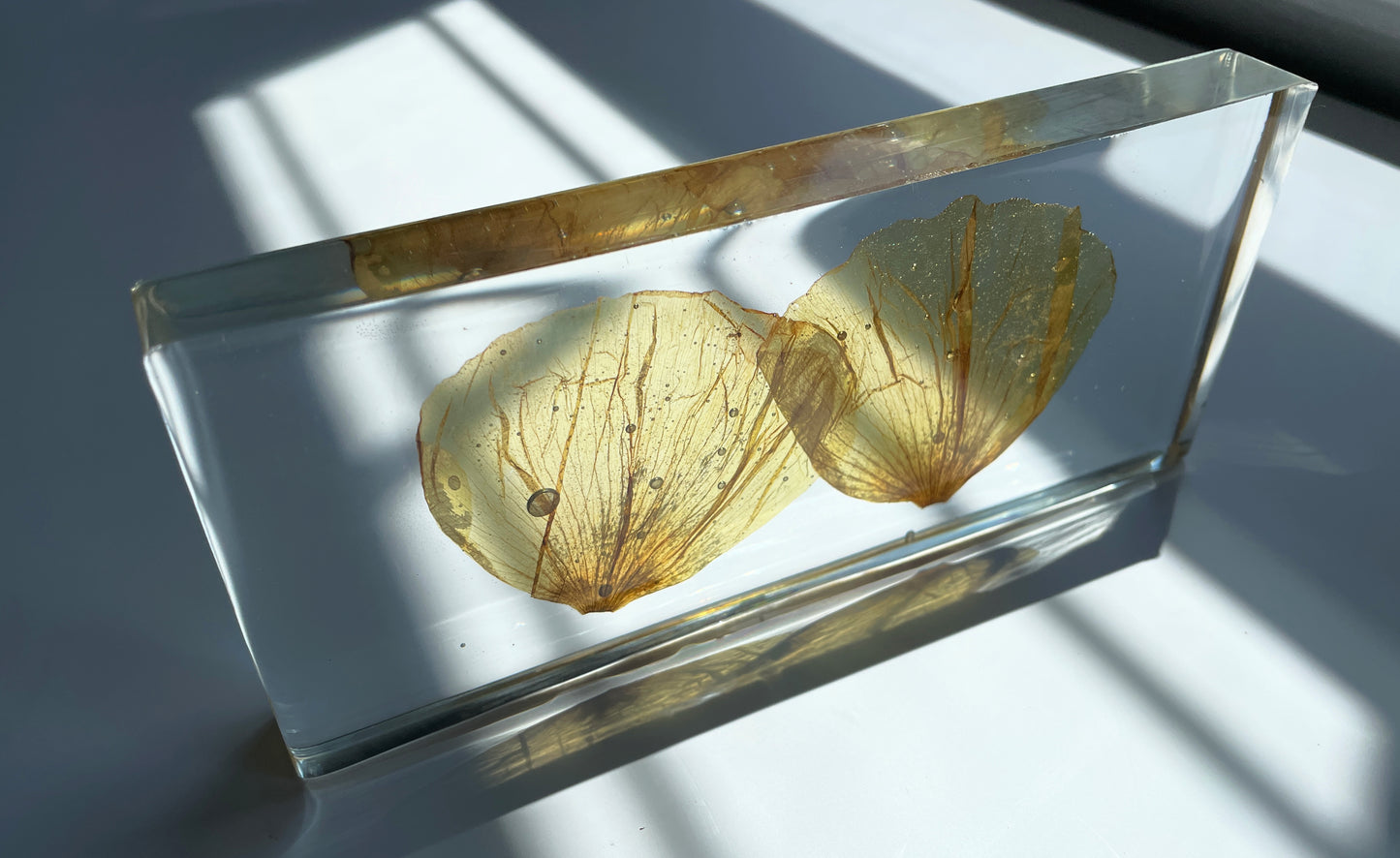 Poppy Petals, Transparent