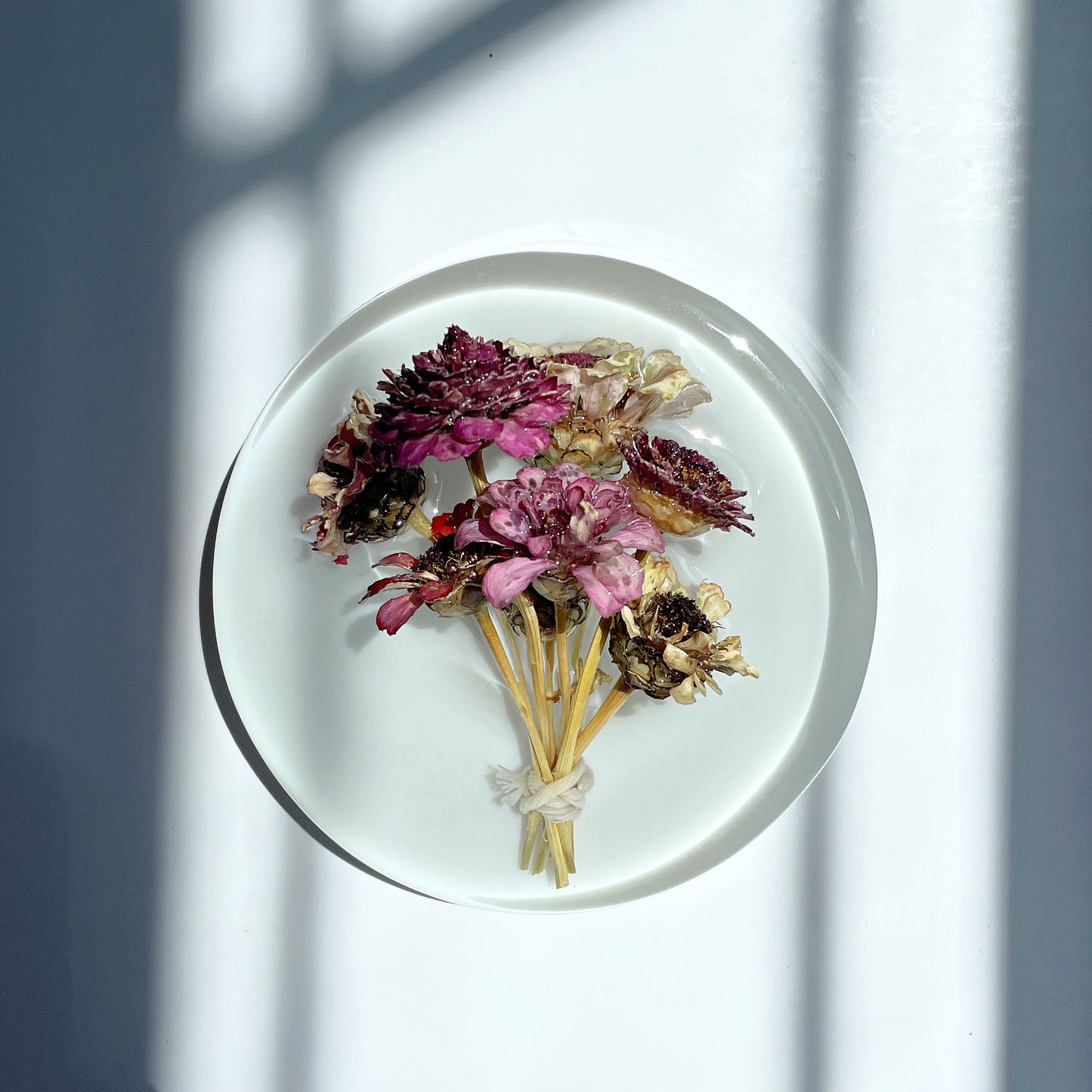 Zinnia Mix, White