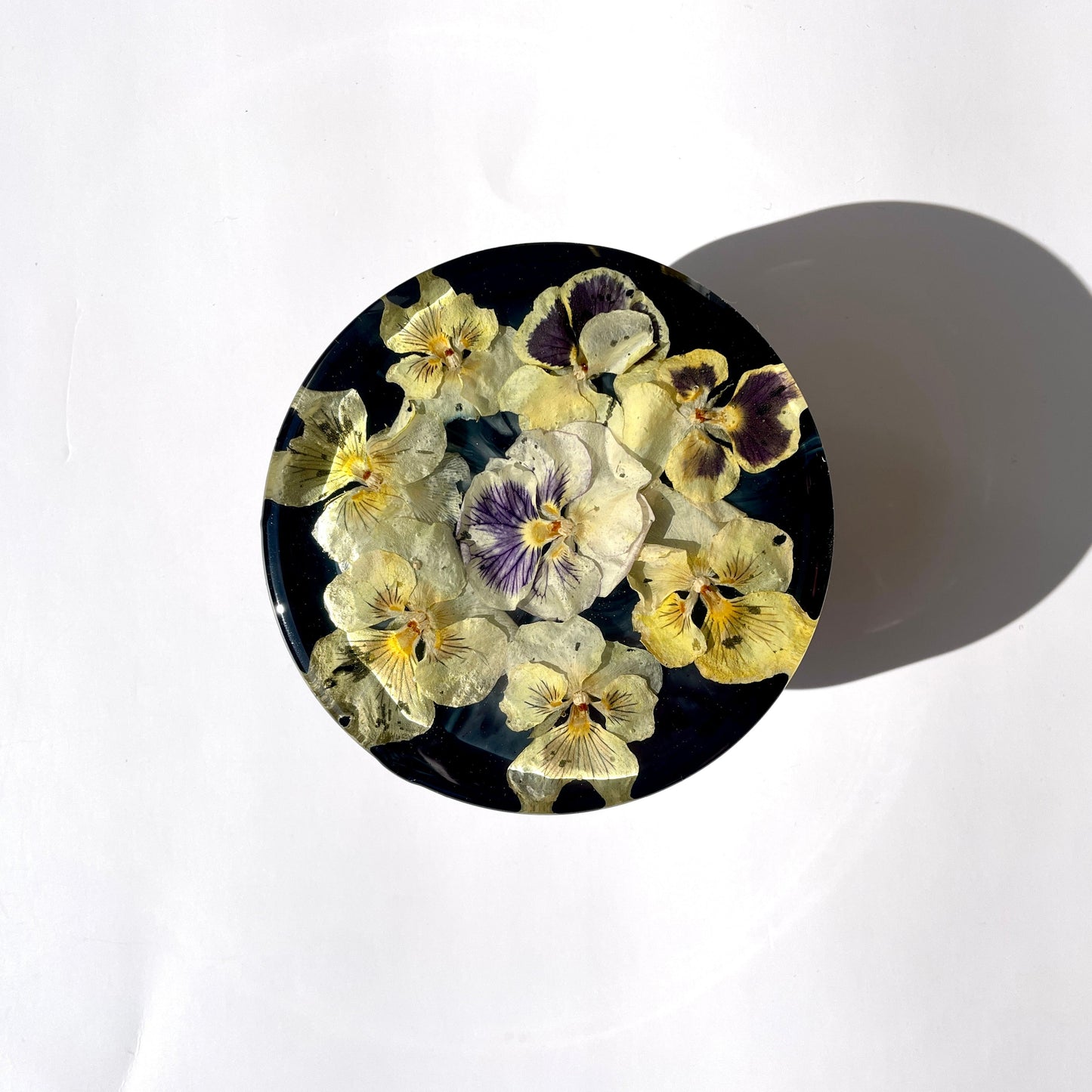 Coaster, Pansy, Solid Black