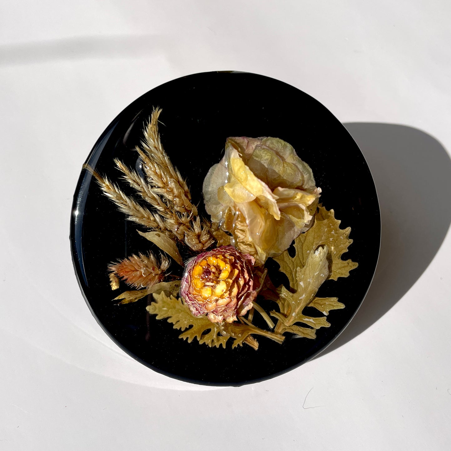 Ranunculus, Celosia, Zinnia, Dusty Miller, Solid Black