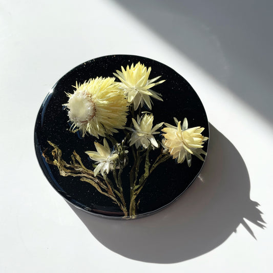 Strawflowers, Yellow, Black.