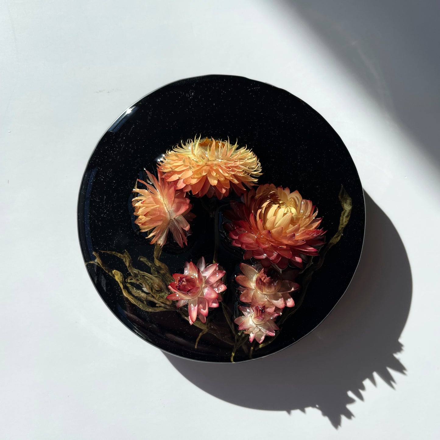 Strawflowers Peach, Yellow, Black.