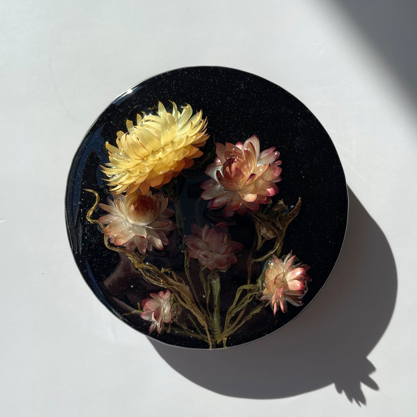 Strawflower Peach, Black.