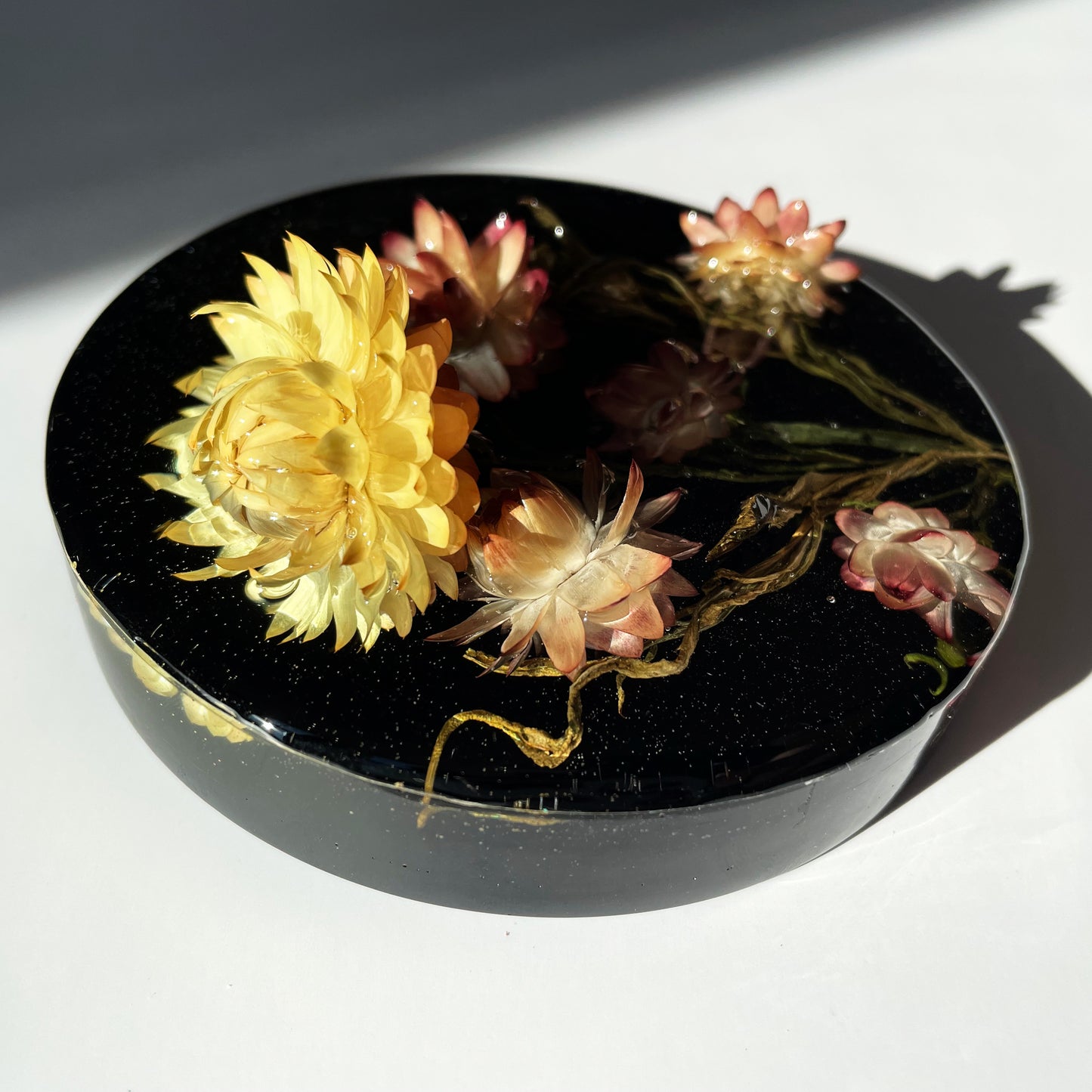 Strawflower Peach, Black.