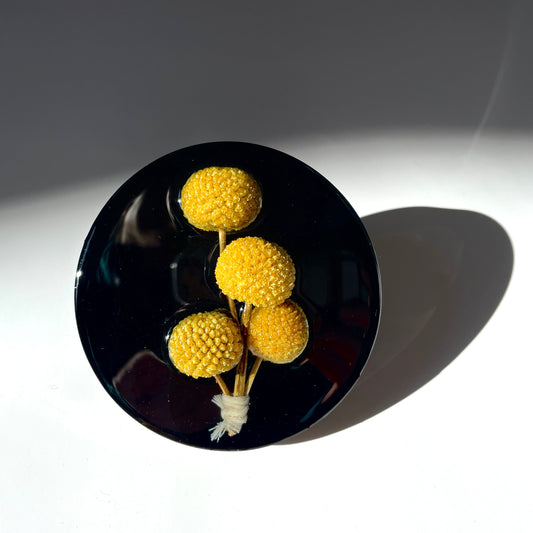 Craspedia, Solid Black