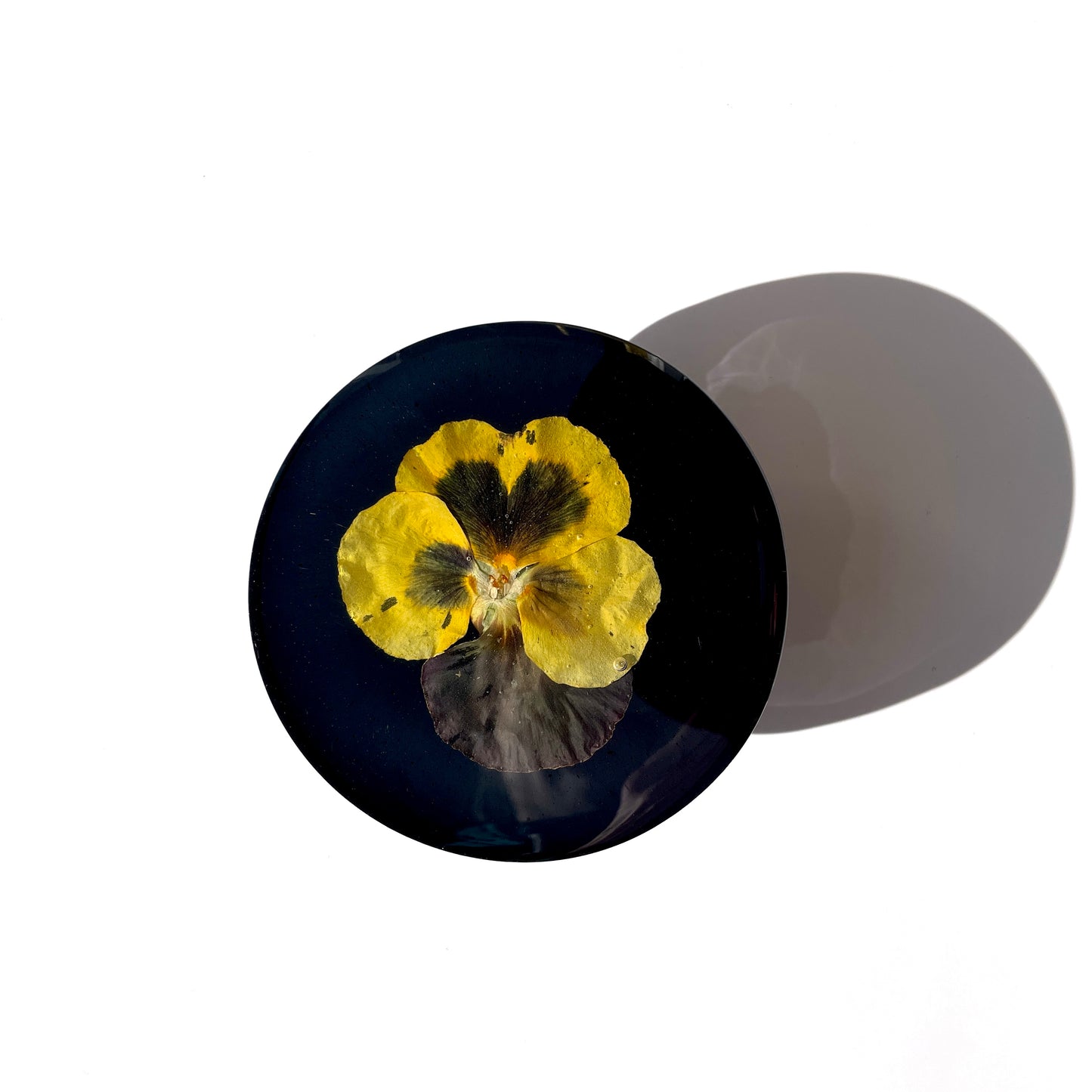 Coaster, Pansy, Solid Black