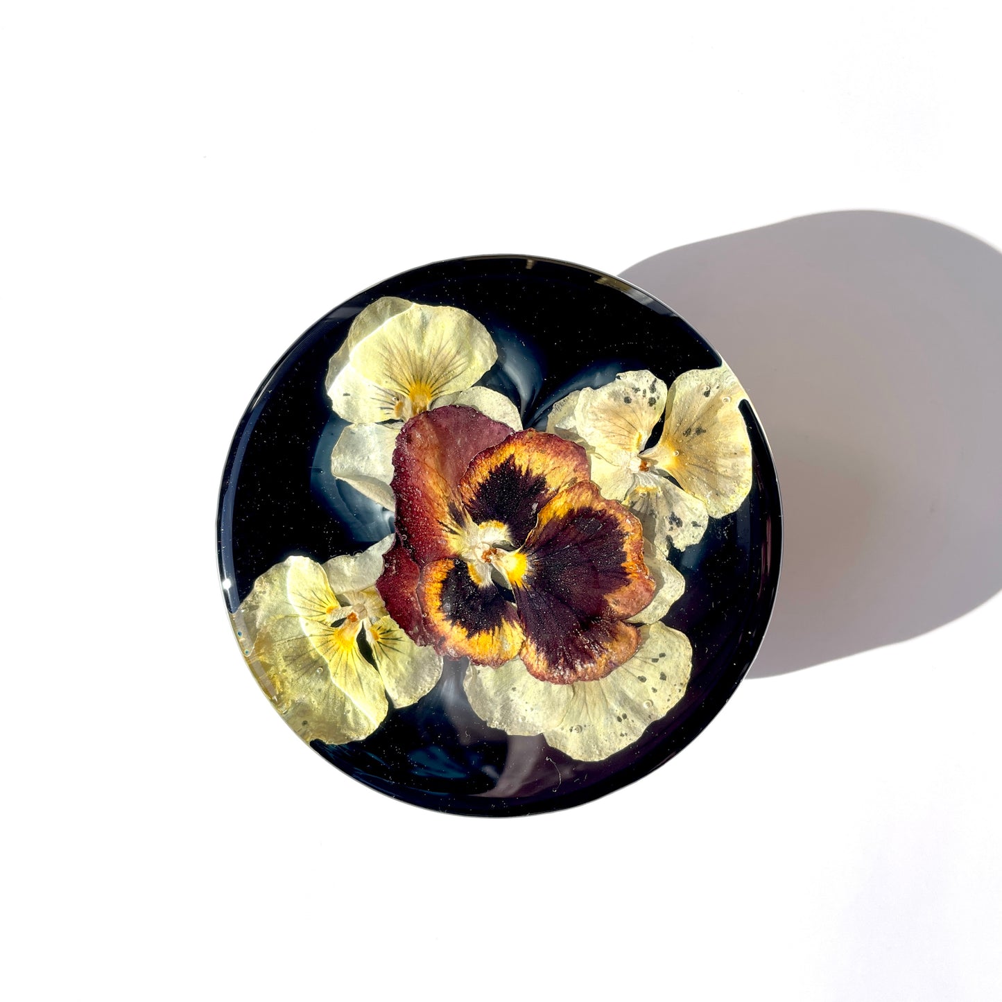 Coaster, Pansy, Solid Black