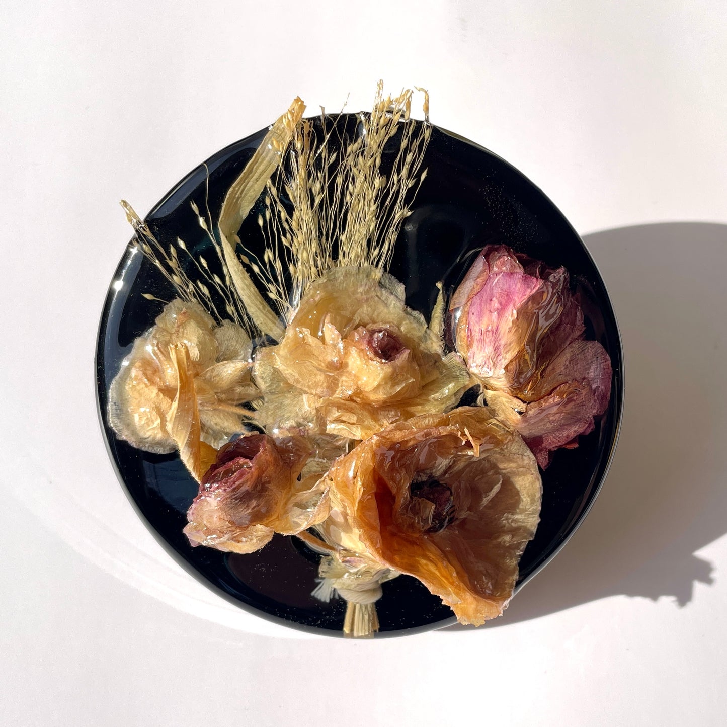 Frosted Explosion, Ranunculus, Solid Black