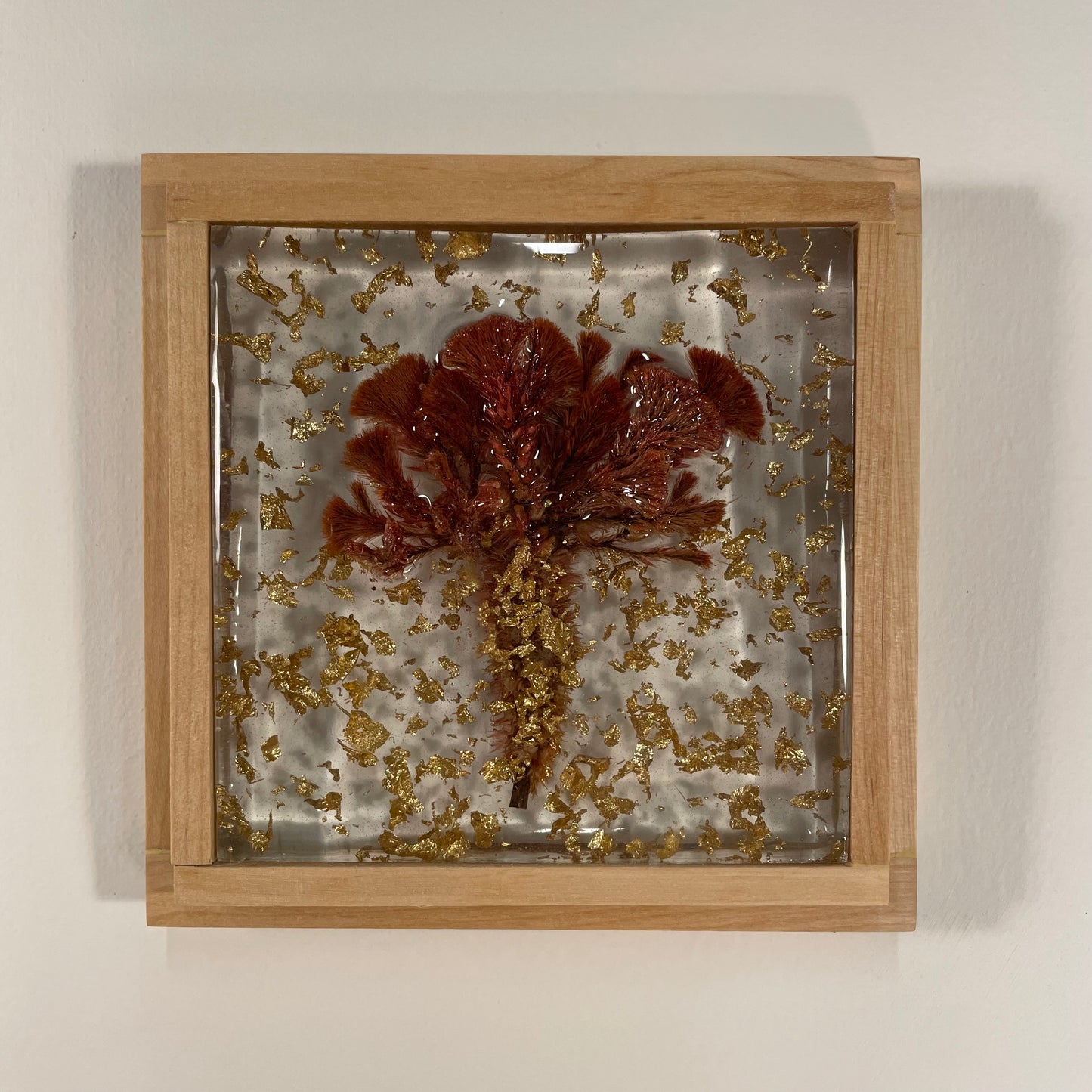 Celosias, Gold Leaves, Transparent, Framed