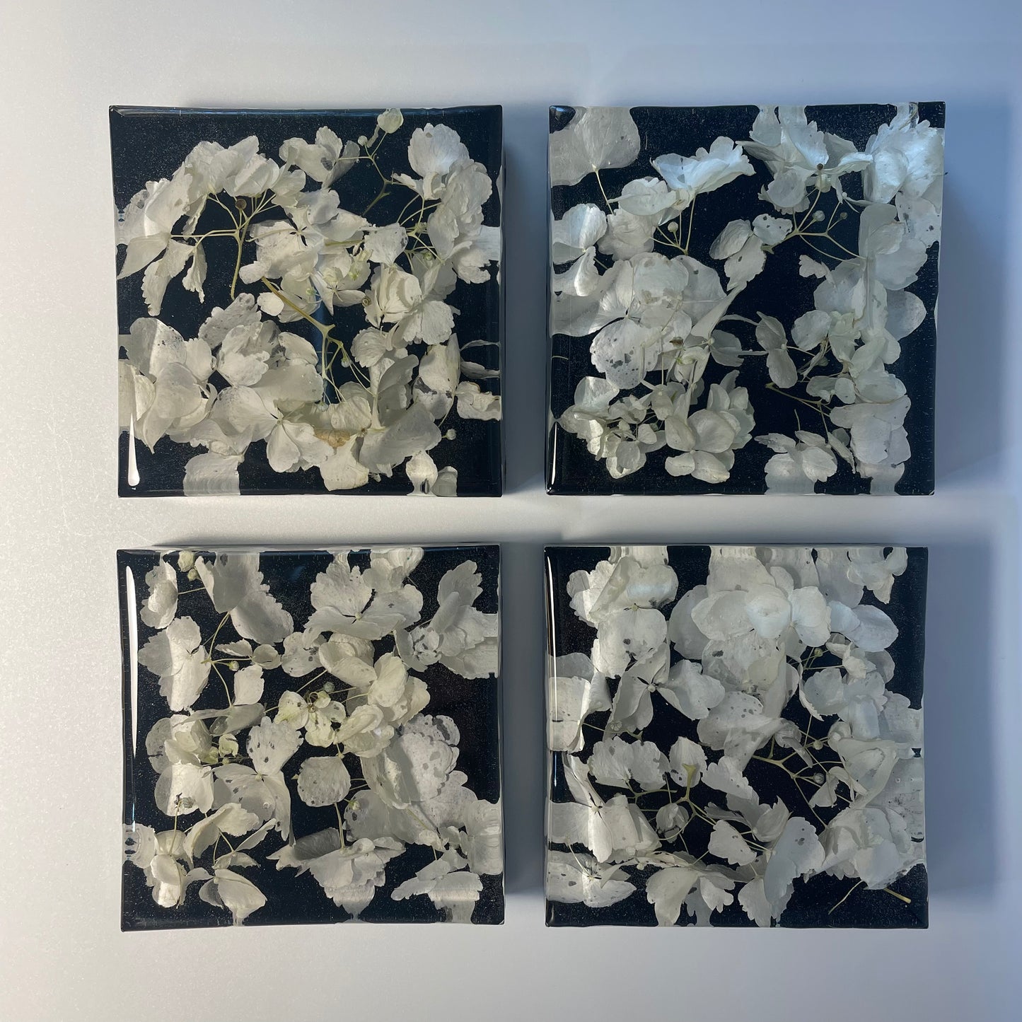 Coasters 4, Hydrangea, Black.