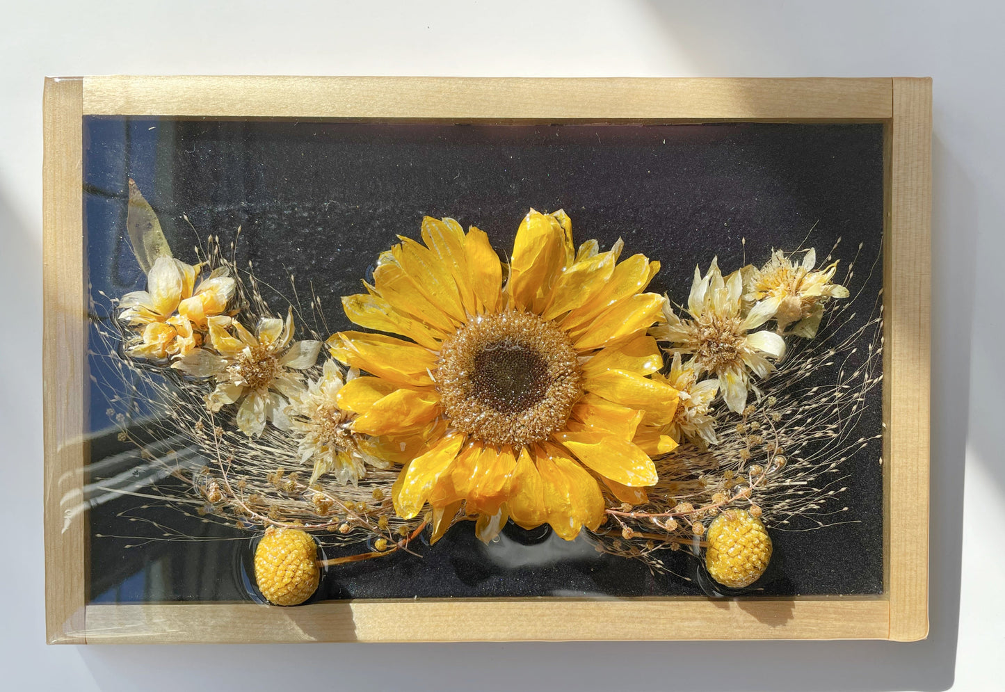 Sunflower, Mimosa, Craspedia, Frosted Explosion, Dark Background.