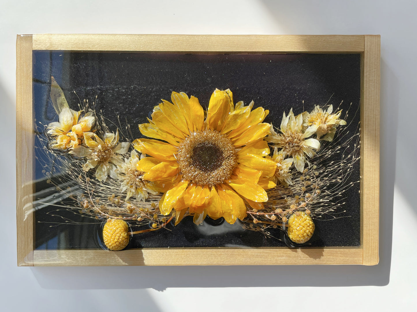 Sunflower, Mimosa, Craspedia, Frosted Explosion, Dark Background.